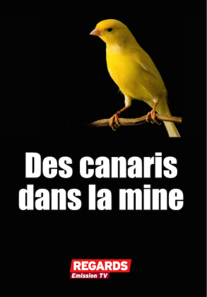 Des canaris dans la mine (DVD)